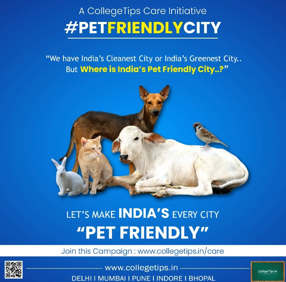 Creative Campaign Image 1